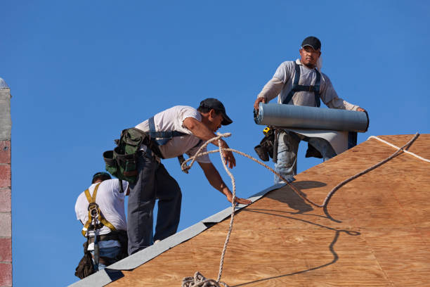Best Shingle Roofing Installation  in Dousman, WI
