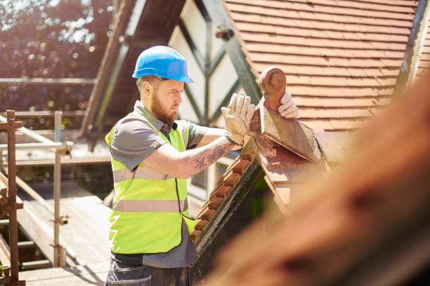 Professional Roofing Contractor in Dousman, WI